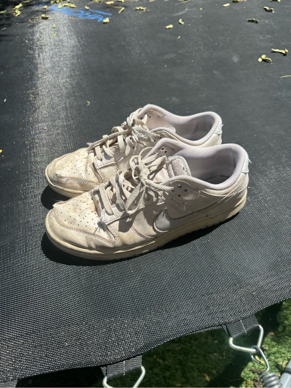 Nike SB Dunks Low-Top Sneakers in White